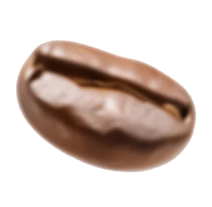 Bean 1