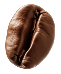 Bean 3