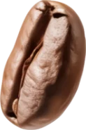 Bean 4