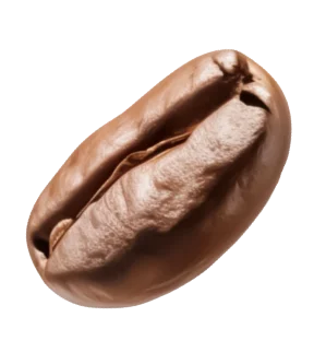 Bean 5