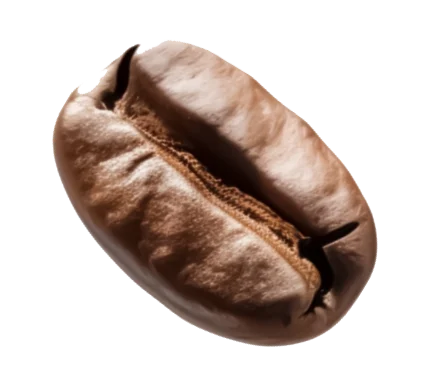 Bean 6