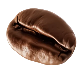Bean 7