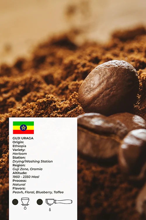 ⁦إثيوبيا غوجي أوراغا (إسبريسو) – 1 كغ⁩ - الصورة ⁦2⁩